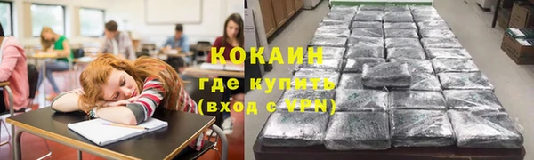 тгк Арсеньев