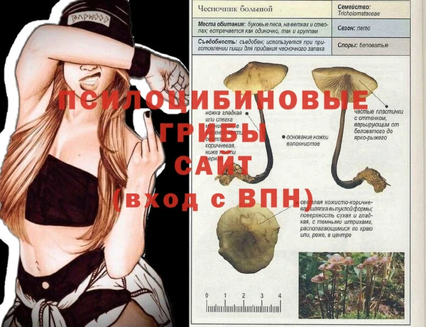 jwh Михайловка