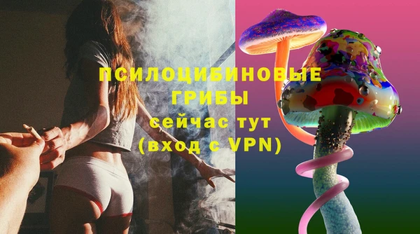 дурь Алексеевка