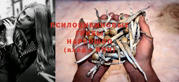 тгк Арсеньев