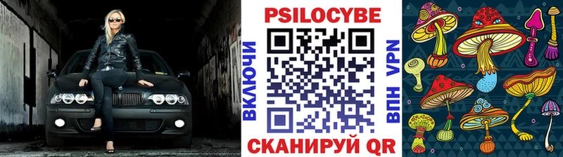 Псилоцибиновые грибы GOLDEN TEACHER  купить наркоту  Снежинск 
